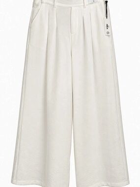 Dictionary White Linen Blend Wide Leg Pants in White